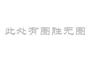 重慶易旱區(qū)域供水保障工程水廠凈水設(shè)備廠家
